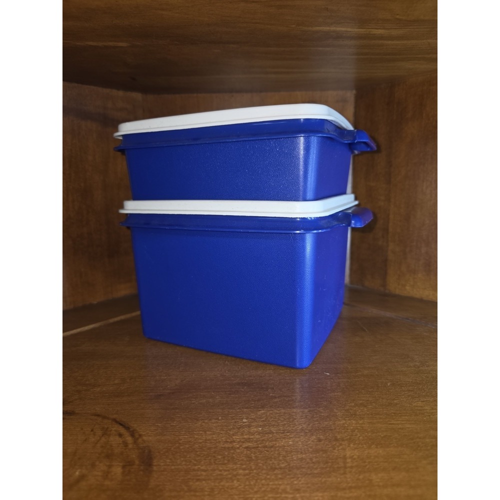 NEW USA VINTAGE‎ TUPPERWARE "Millionaire Line"Set of 2 Containers with Lids
